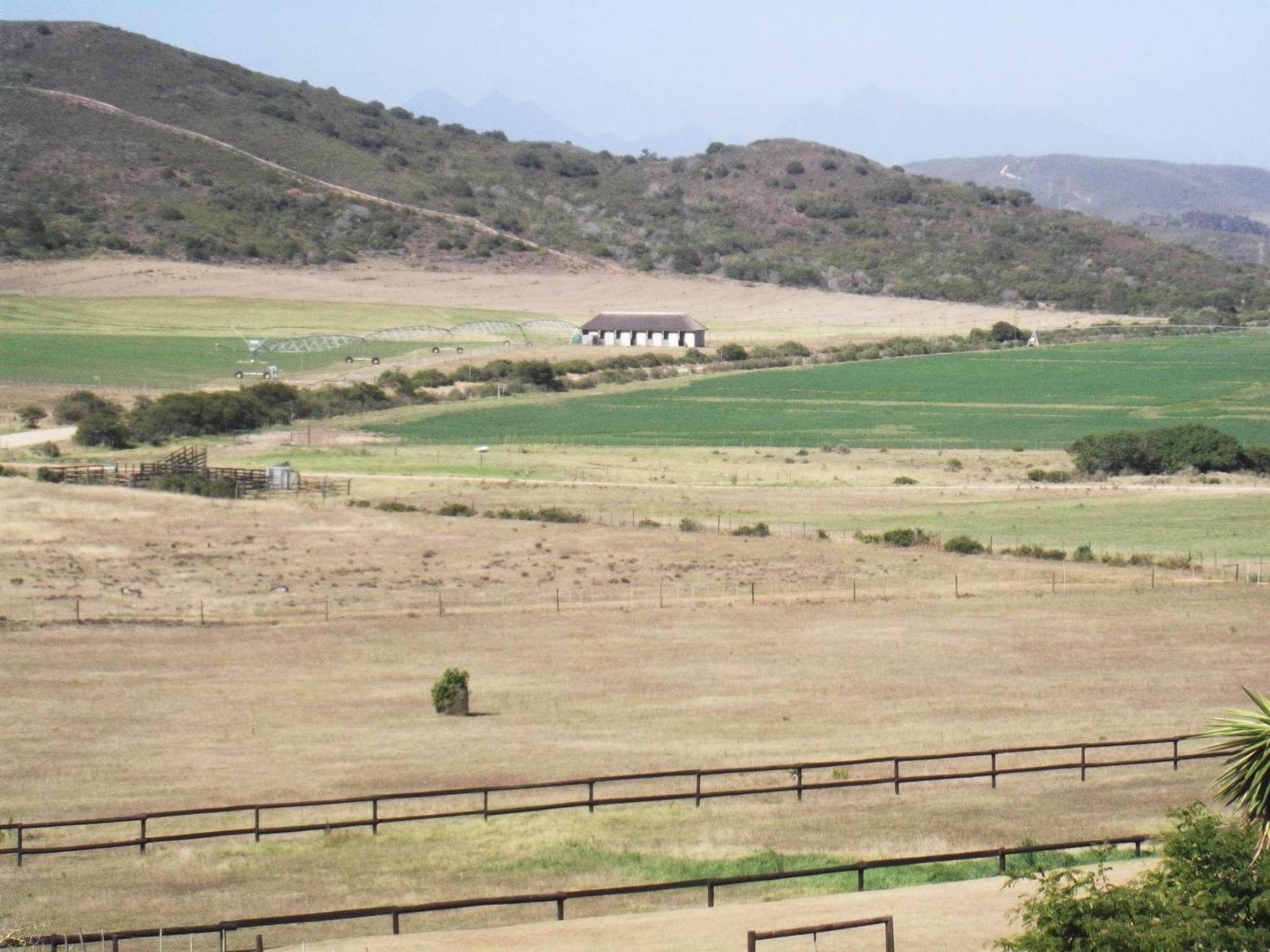 Outeniquabosch Lodge Hartenbos Exterior photo